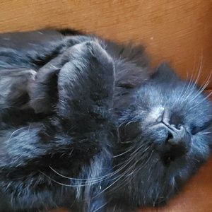 Meet your Posher, Claire